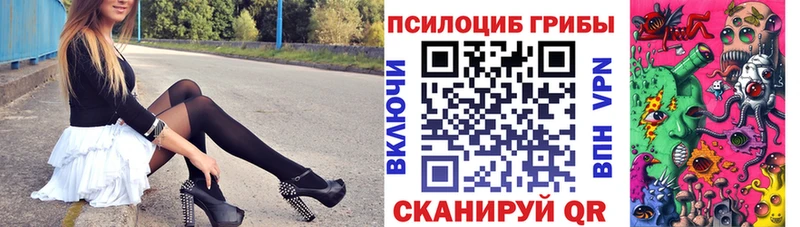 Купить где  Челябинск  Псилоцибиновые грибы мицелий 